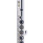 800B Intermediate Flute, Sterling Silver Head/Body/Foot, Open-Hole, B Foot,  Inline G, Gold Plated Lip & Crown, Case