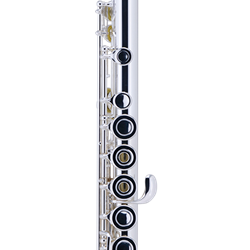 800B Intermediate Flute, Sterling Silver Head/Body/Foot, Open-Hole, B Foot,  Inline G, Gold Plated Lip & Crown, Case
